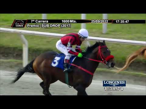 220925 c07 OLYMPIC MONSTER