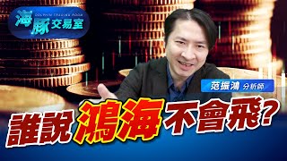 鴻海變最大贏家! 到底要噴去哪! (圖)