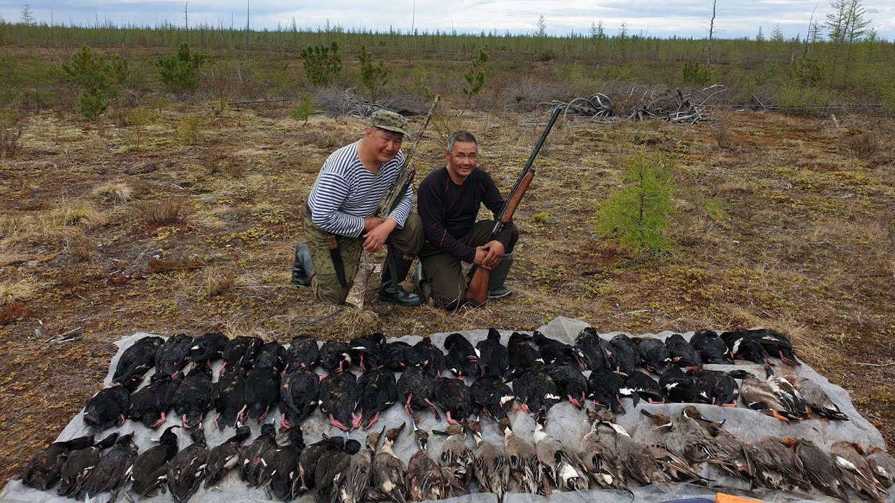 1 серия Охота на утку (турпан) в Якутии