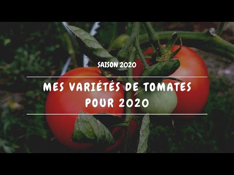 , title : '🍅 Mes variétés de tomates pour 2020'