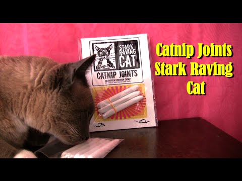 Cat Nip Joint