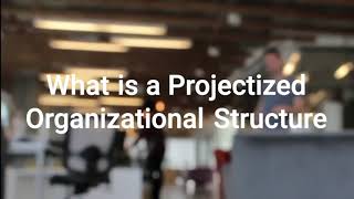 What is a Projectized Organization?