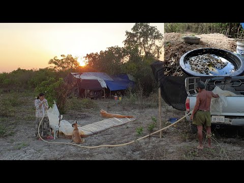 Water is the most important thing to honey bees in Summer