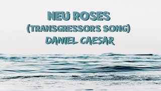 Daniel Caesar - Neu Roses (Transgressor&#39;s Song) (Lyrics)