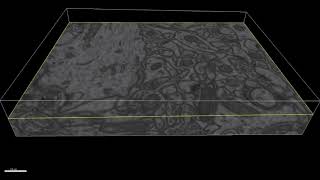 ZeroCostDL4Mic Video #3: Using 3D U-Net for the segmentation of mitochondria from EM data