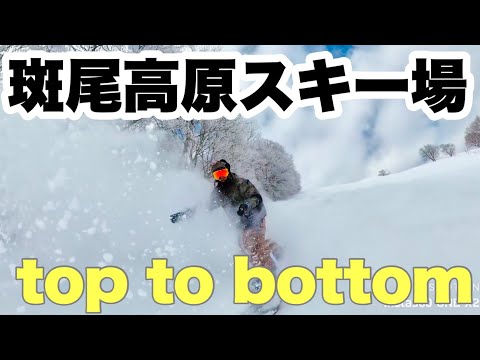 斑尾高原スキー場のパウダーを滑る！