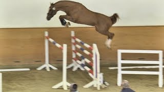 Video od VDL Quickthago