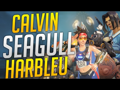 OVERWATCH SEAGULL AIMBOTCALVIN AND HARBLEU IN THE SAME TEAM