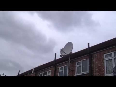 Fledgling Birds Learning to Fly