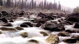 Be Like Water - Sarah Fimm