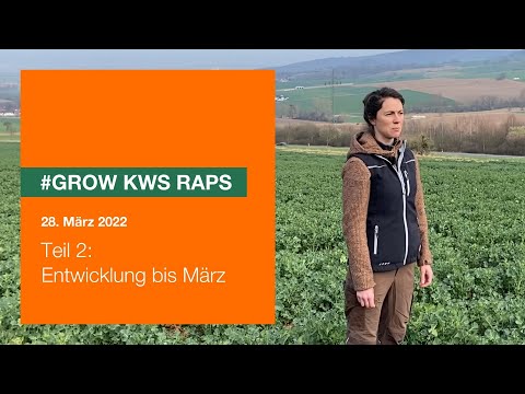 #GROW KWS Raps − Teil 2: Entwicklung bis Ende März