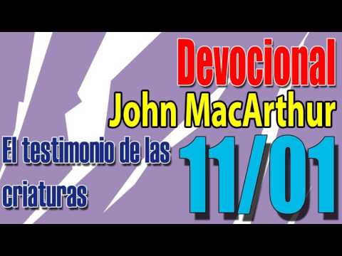 Devocional John MacArthur 11/01 -  El testimonio de las criaturas