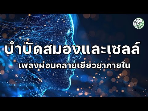 ดนตรีบำบัดสมองและเซลล์ ดนตรีฟื้นฟูสมอง จากความล้าและการทำงานหนัก ดนตรีผ่อนคลายสมอง เพลงบำบัดเซลล์