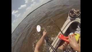preview picture of video 'Kayaking Shark Fishing at Ruskin, Florida'