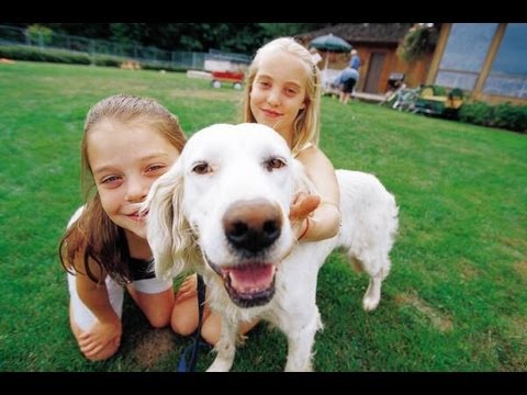 Lansing - Westgate - Toronto Neighbourhood Walk  - Re/Max