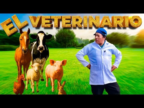 I GRADUATED as a veterinarian, without knowing anything about animals.