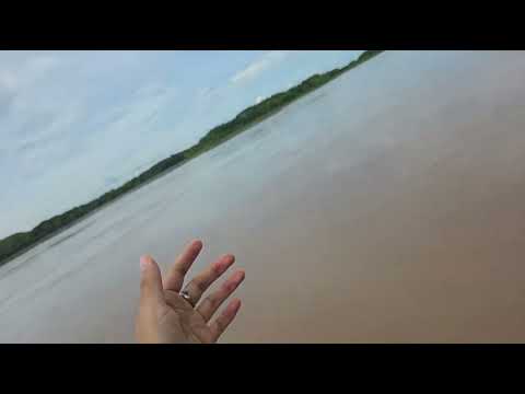 Yurimaguas-Alto amazonas-Loreto
