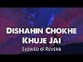 Dishahin Chokhe Khuje Jai - Slowed & Reverb  | Rangbaaz | Text Audio | Bengali Lofi