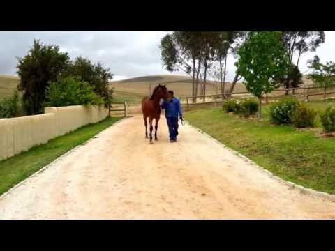 2014-11-23 - 13Delectable walking