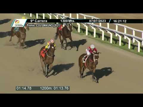 230707 c09 - VECCHIA SIGNORINA - HIPODROMO LAS PIEDRAS