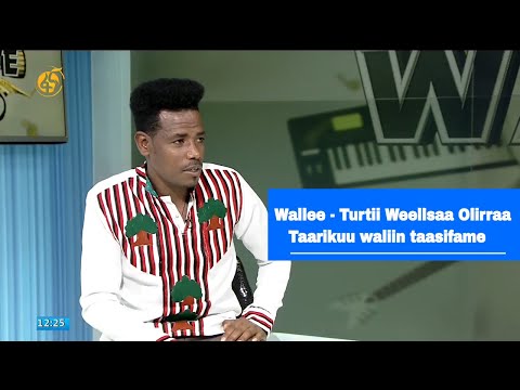 Wallee- Turtii Weellsaa Olirraa Taarikuu waliin taasifame