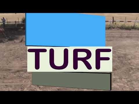 Turf - DOBLAS - LA PAMPA - 12-1-25 - Fotochart Fernandez