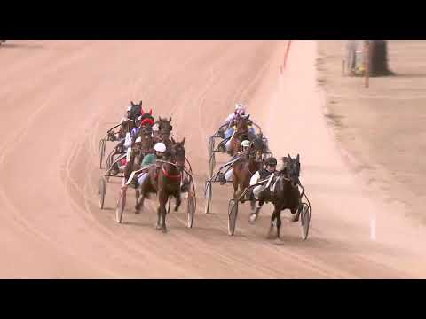 2022.02.26. 01. futam - GEJZÍR DÍJ