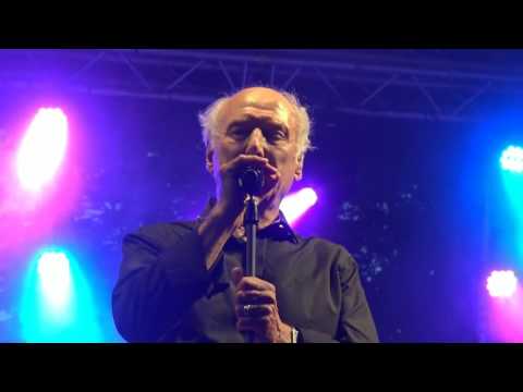 Peter Koelewijn - Zij is een wonder (19Jul2016)