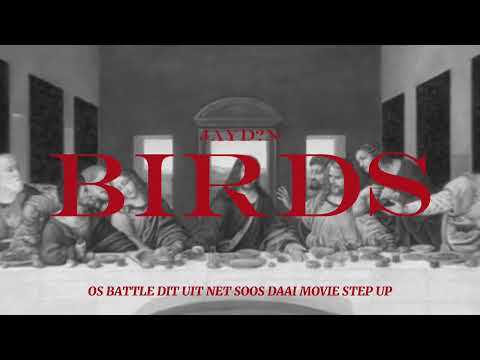 JAYD?N - BIRDS! (Official Lyric Visualizer)