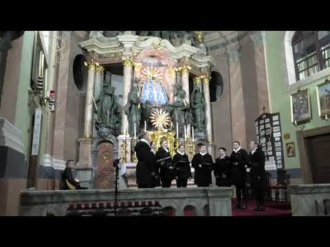 ŽVS Biseri 1 - Zdravo Divica