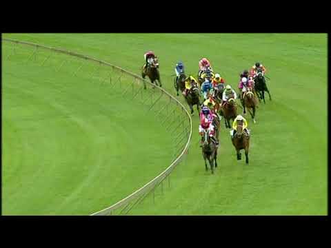 20201220 Hollywoodbets Scottsville express clip Race 8 won by GREAT AFFAIR