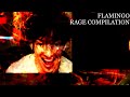 Flamingo Rage Compilation
