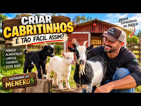 O QUE EU APRENDI CRIANDO MINI CABRAS - A VERDADE