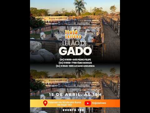 LEILAO DE GADO DA ITAJÁ LEILÔES