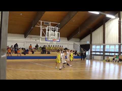 OSE Simbák – Csípős Darazsak