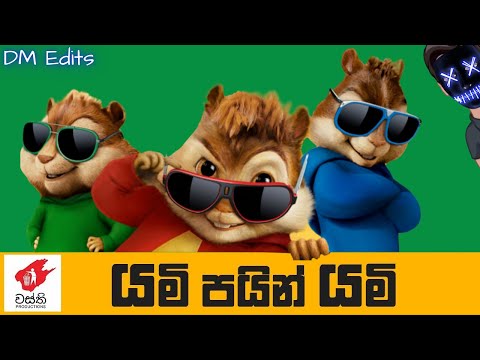 Yami Pain Yami Chipmunks Music Video - Wasthi Productions