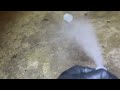 Cat Fleas in the Basement in Metuchen, NJ