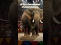 The Dark Truth Behind Circus Elephants Allworld Animals Elephant L Save Animal World L Story