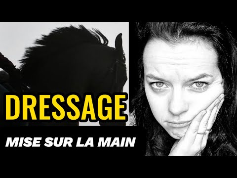 🤚 AVOIR TON CHEVAL SUR LA MAIN