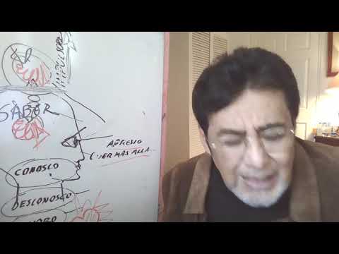 SEMESTRE 2 APRECIACION ARTISTICA  4 PRIMERA PARTE