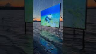 Единственный в Николаеве кинотеатр под открытым небом приглашает зрителей на увлекательные киносеансы