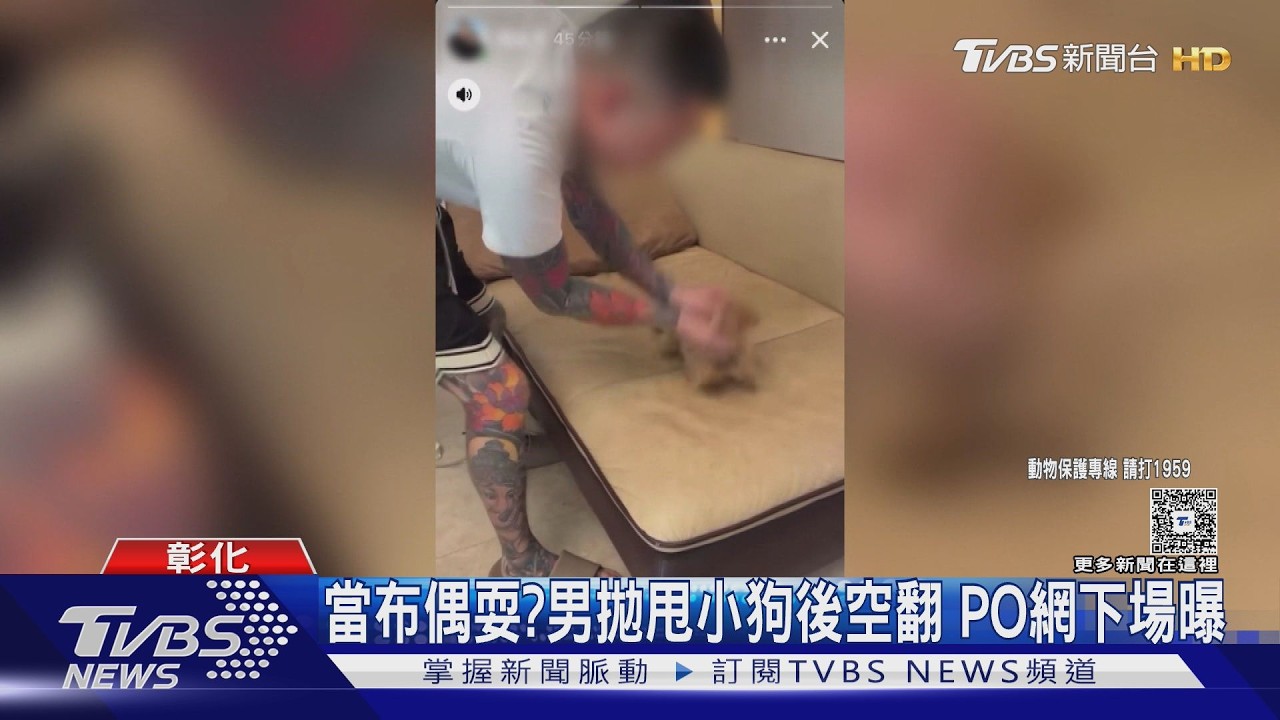 幼犬遭當布偶拋甩「後空翻數圈」！男PO網嬉鬧　下場曝光