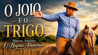 O JOIO E O TRIGO - MARCOS ANTÔNIO: O NEGRÃO ABENÇOADO (VIDEOCLIPE)