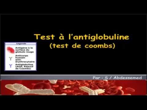 Test a l'antiglobuline