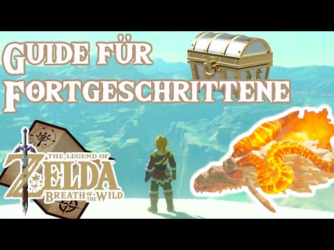 Guide für Fortgeschrittene | The Legend of Zelda: Breath of the Wild