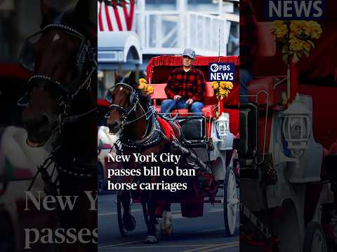 PBS NewsHour: New York City passes bill to ban horse carriages
