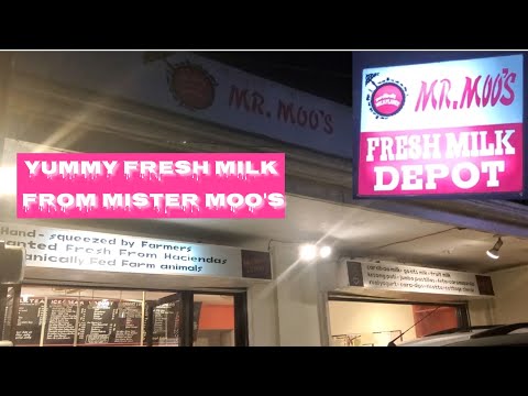 Yummy Fresh Milk From Mister Moo's - Armand Gaspar