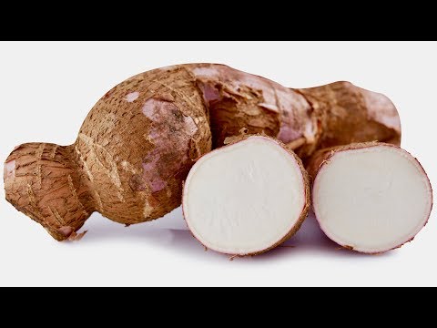 download lagu mp3 mp4 Are Yucca Chips Healthy, download lagu Are Yucca Chips Healthy gratis, unduh video klip Are Yucca Chips Healthy