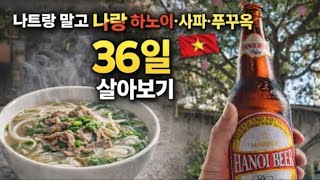 베트남하노이실시간#반쎄오맛집#혼술#먹방#korean#mukbang#parkmadam