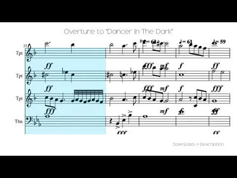 🎶 Overture To "Dancer In The Dark" 🎸🎸
